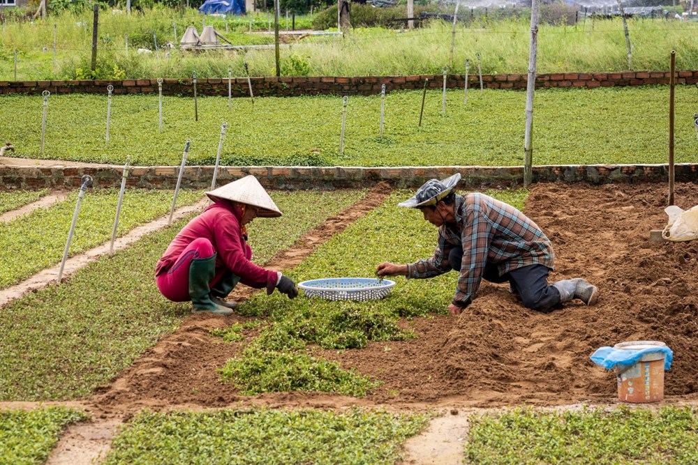 Tạo thu nhập bền vững để thu hút người dân tham gia du lịch xanh - ảnh 2