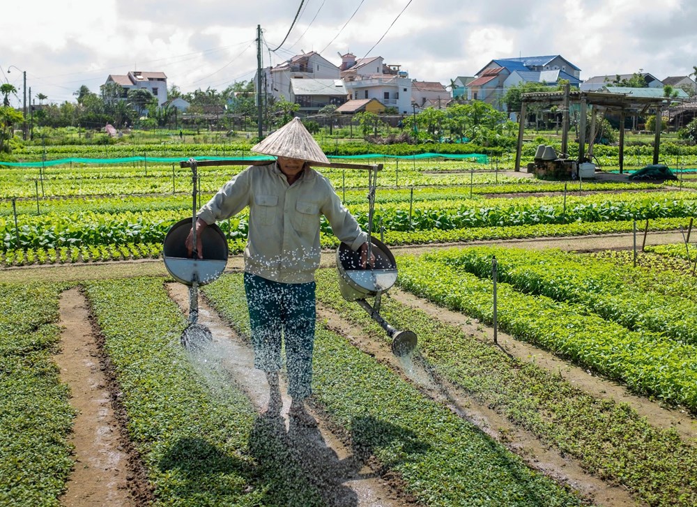 Gia tăng sản phẩm văn hóa-du lịch xanh, lấy cộng đồng làm trung tâm - ảnh 1