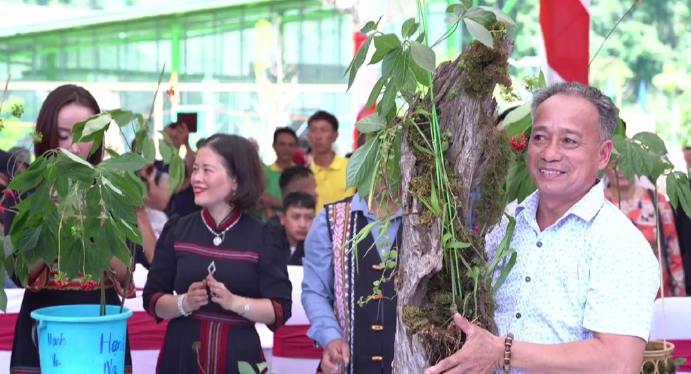 Lễ hội sâm “Ngọc Linh – Kỷ nguyên vươn mình” diễn ra vào đầu tháng 8.2025 - ảnh 4