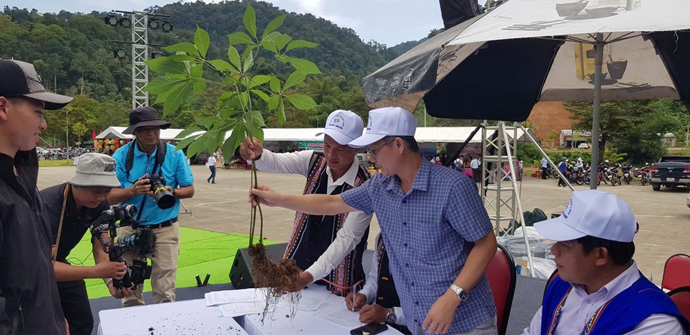 200 cây sâm “so tài” tại Hội thi sâm Ngọc Linh - ảnh 6