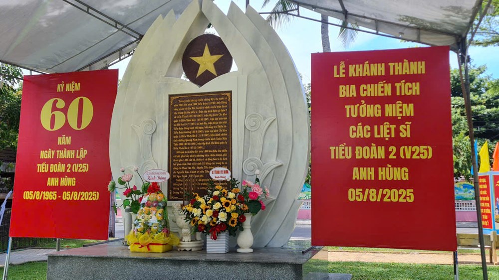 Khánh thành Bia chiến tích tưởng niệm liệt sĩ Tiểu đoàn 2 - ảnh 1