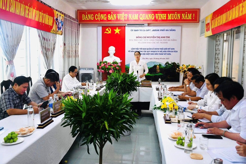 Tập trung triển khai nhiệm vụ lập quy hoạch bảo tồn, phục hồi Khu đền tháp Mỹ Sơn đến năm 2035 - ảnh 1