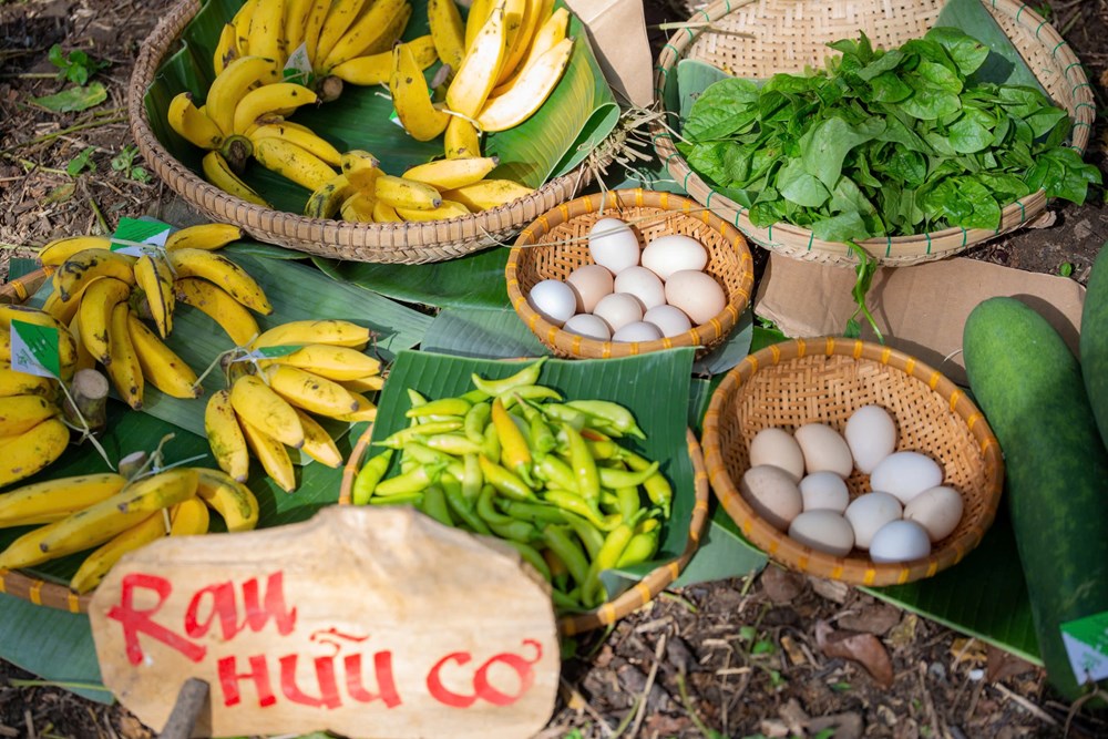 Nhiều hoạt động văn hóa, nghệ thuật tại Chợ quê Kim Bồng - ảnh 6
