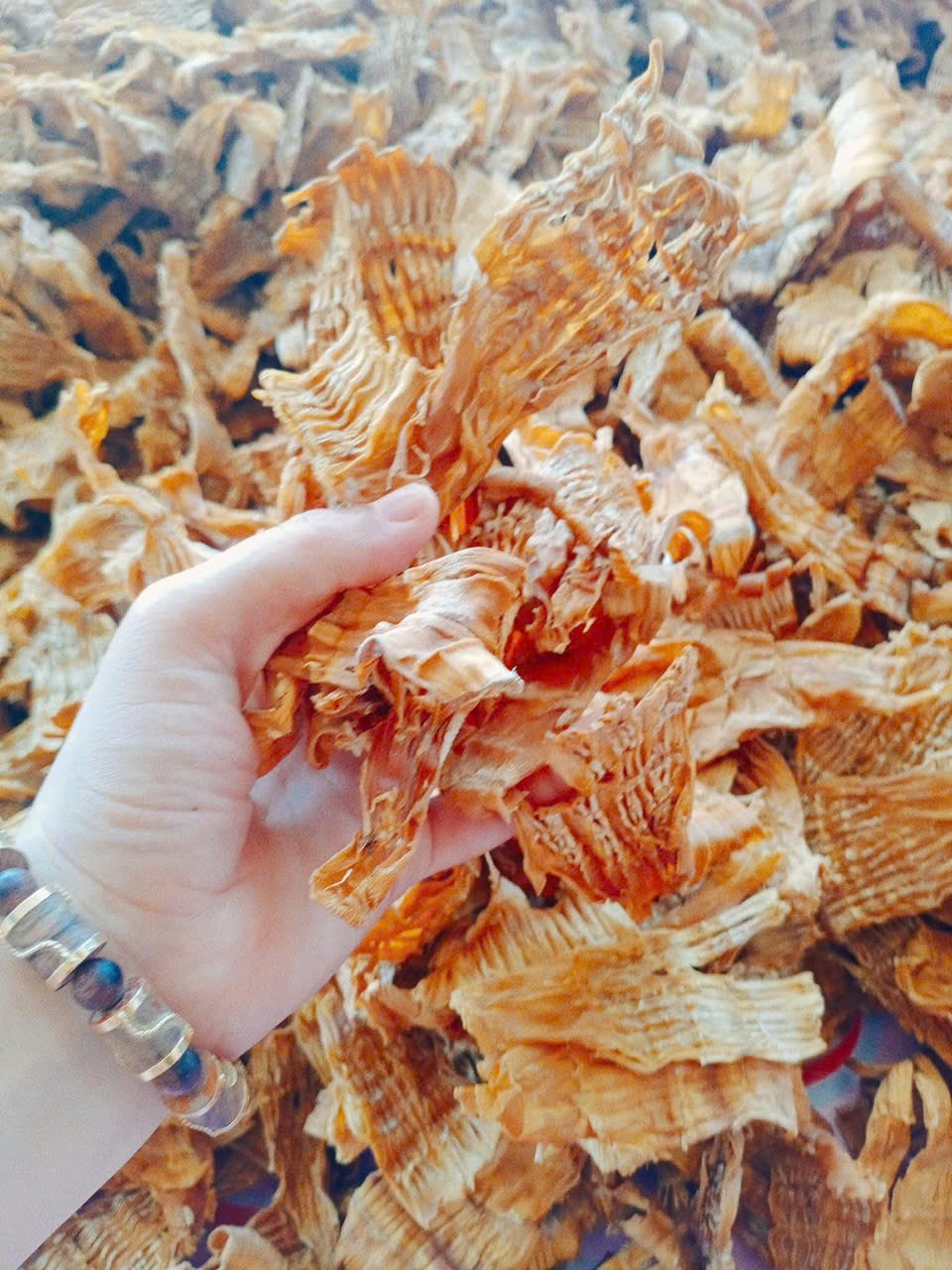 Mùa măng nứa Trà My- Quà tặng từ núi rừng - ảnh 4