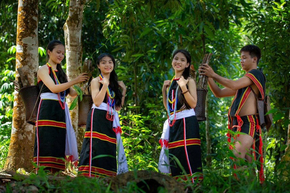 Mùa măng nứa Trà My- Quà tặng từ núi rừng - ảnh 5