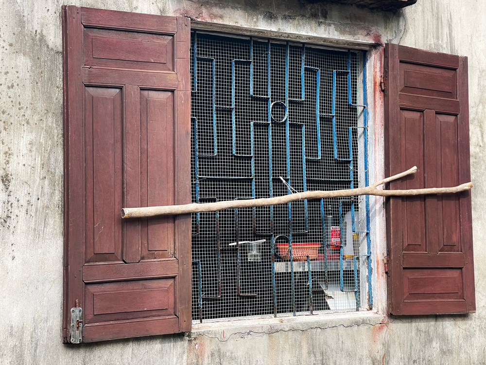 Khỉ vàng “đại náo” nhà dân ở Cù Lao Chàm - ảnh 5