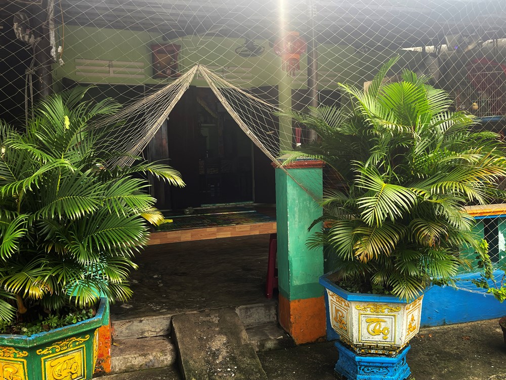 Khỉ vàng “đại náo” nhà dân ở Cù Lao Chàm - ảnh 4