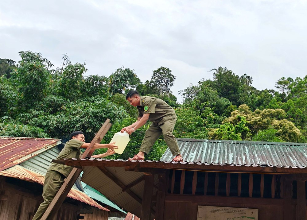 Các xã vùng cao Đà Nẵng gấp rút triển khai phòng chống bão số 10 - ảnh 6