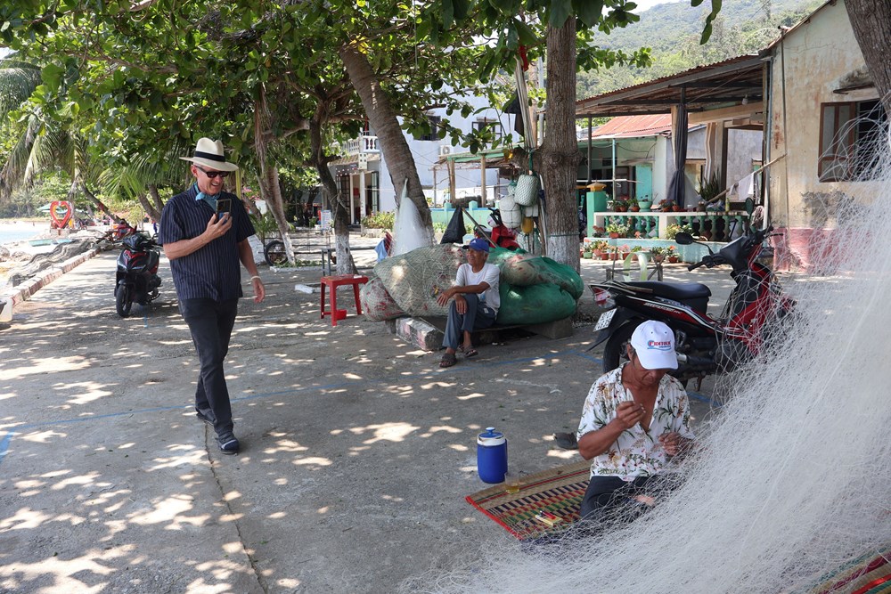 Hiệu quả mô hình đồng quản lý bảo tồn biển Cù Lao Chàm - ảnh 2