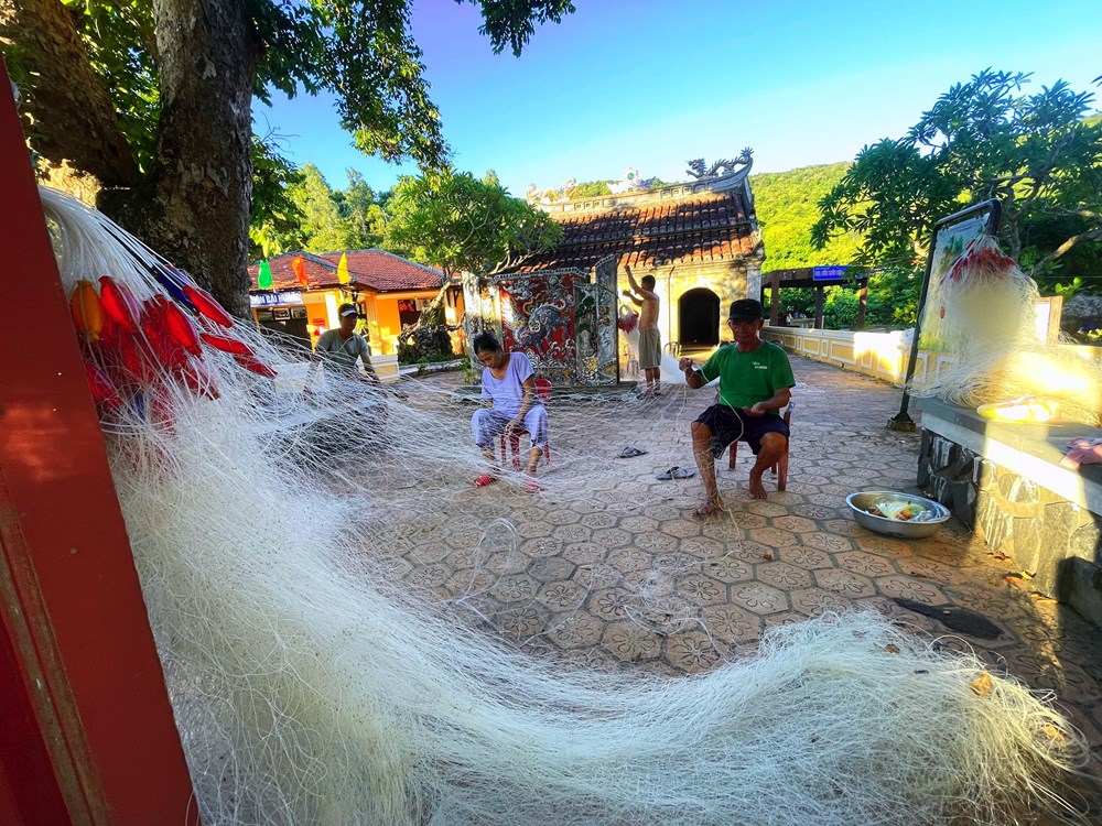 Hiệu quả mô hình đồng quản lý bảo tồn biển Cù Lao Chàm - ảnh 3