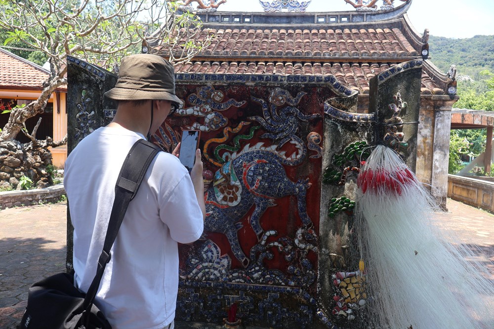 Hiệu quả mô hình đồng quản lý bảo tồn biển Cù Lao Chàm - ảnh 5