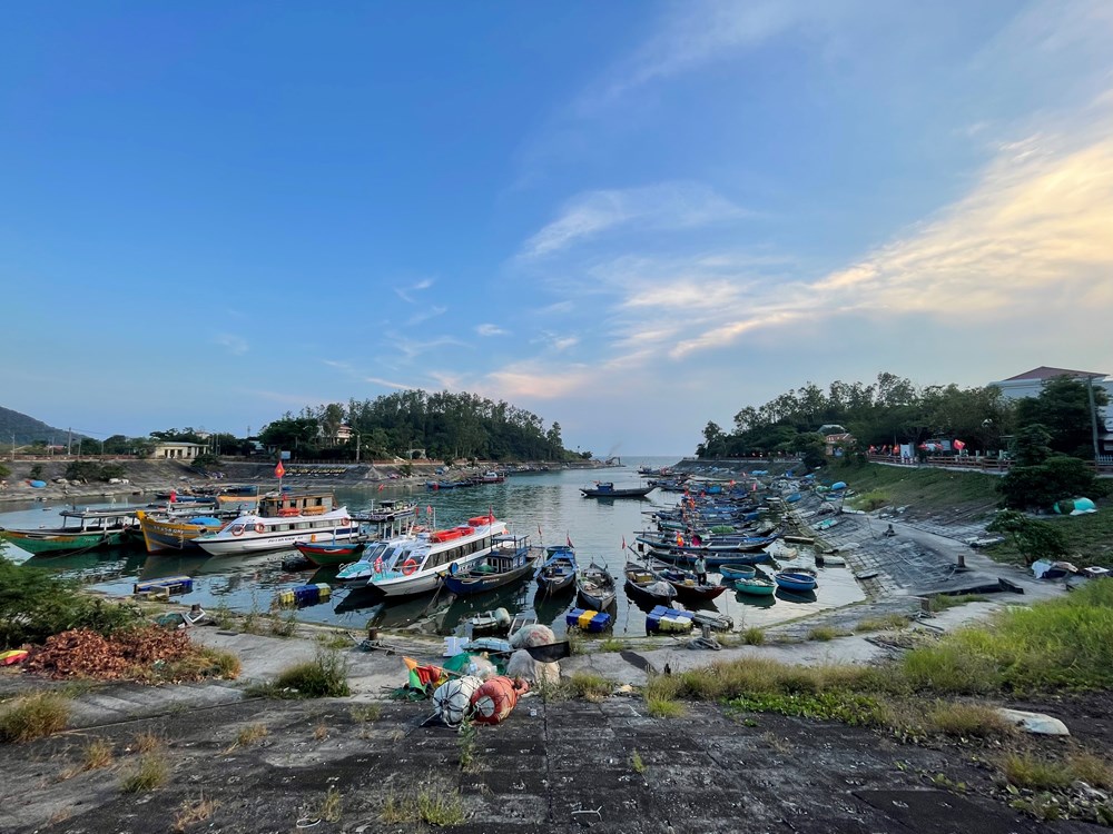 Hiệu quả mô hình đồng quản lý bảo tồn biển Cù Lao Chàm - ảnh 1