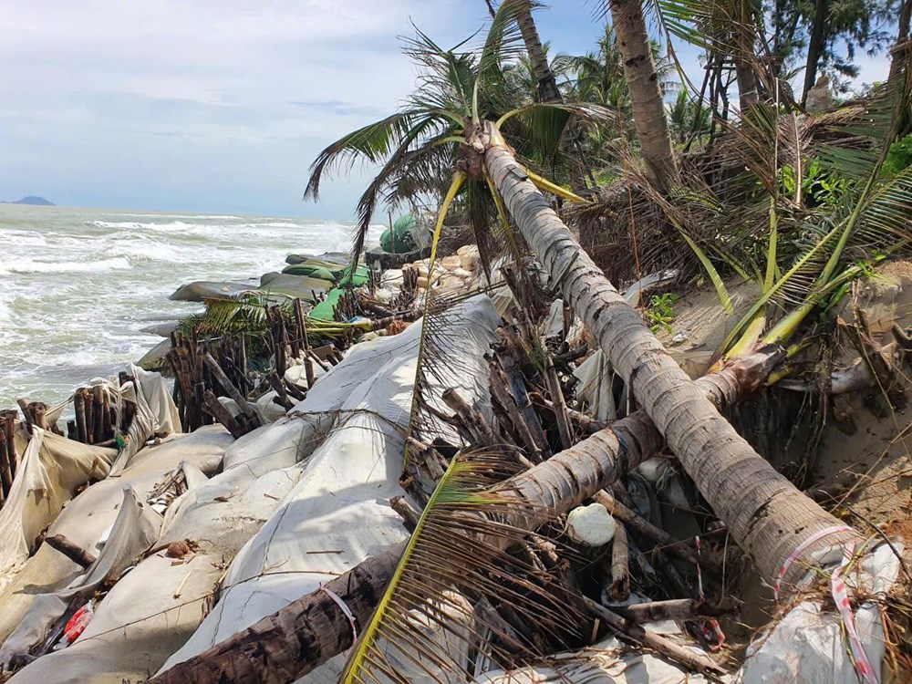 Khẩn trương khắc phục sạt lở bờ biển trước khi bão số 13 đổ bộ - ảnh 3