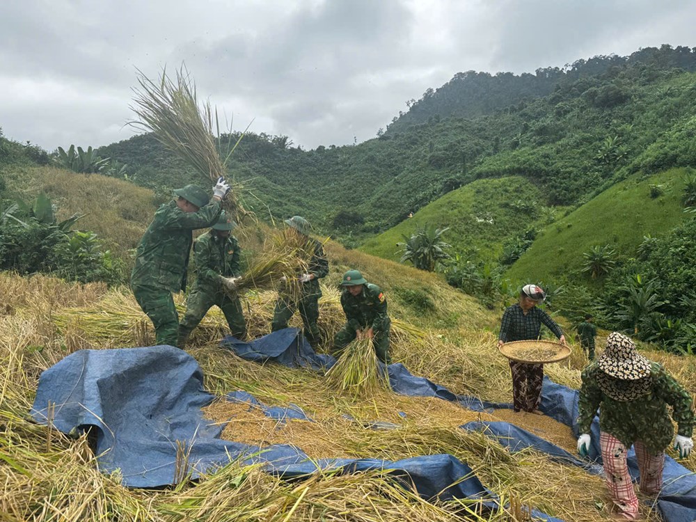Hối hả chằng chống nhà cửa, gặt lúa,…”chạy” bão số 13 - ảnh 6