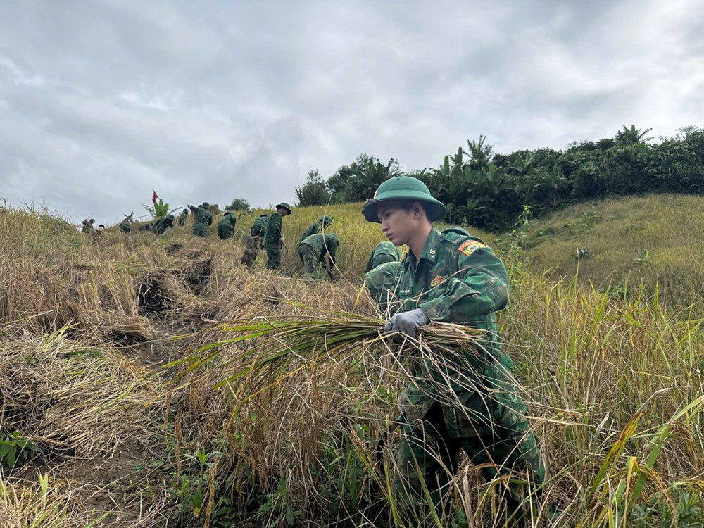 Tập trung di dời dân vùng nguy cơ sạt lở, lũ quét đến nơi an toàn - ảnh 2