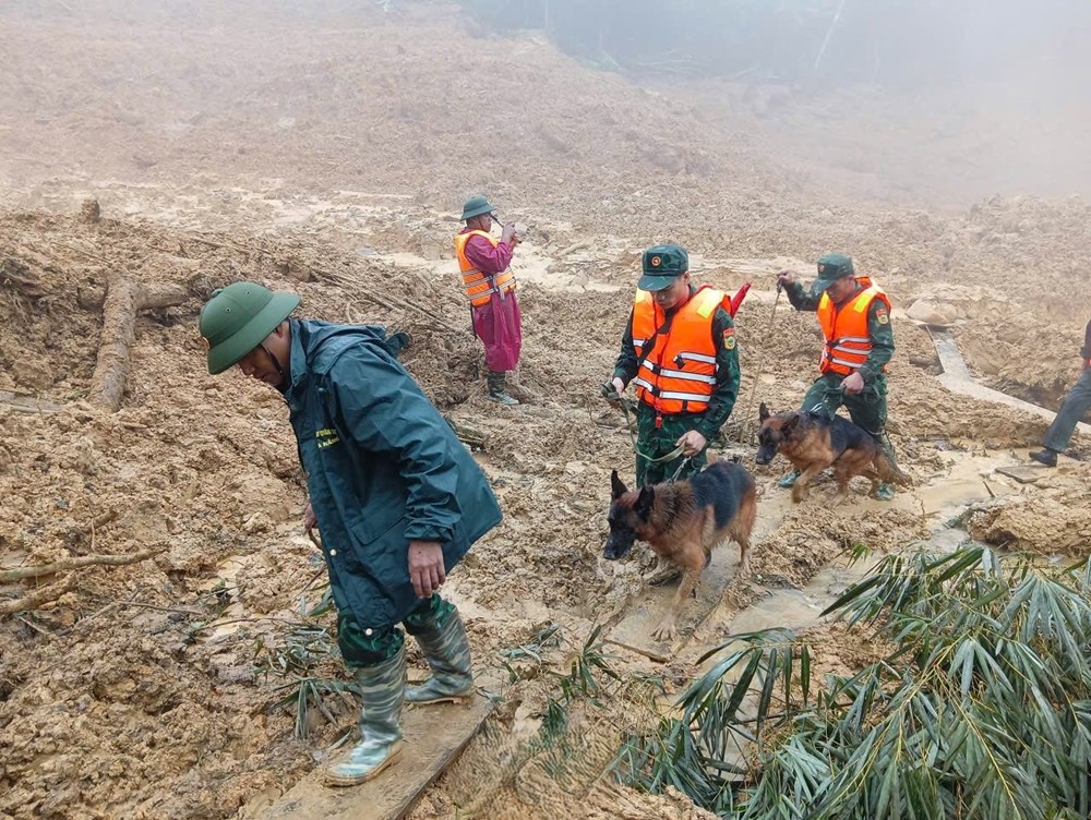 Di dời khẩn cấp thêm nhiều hộ dân khỏi khu vực nguy hiểm ở xã Hùng Sơn - ảnh 5