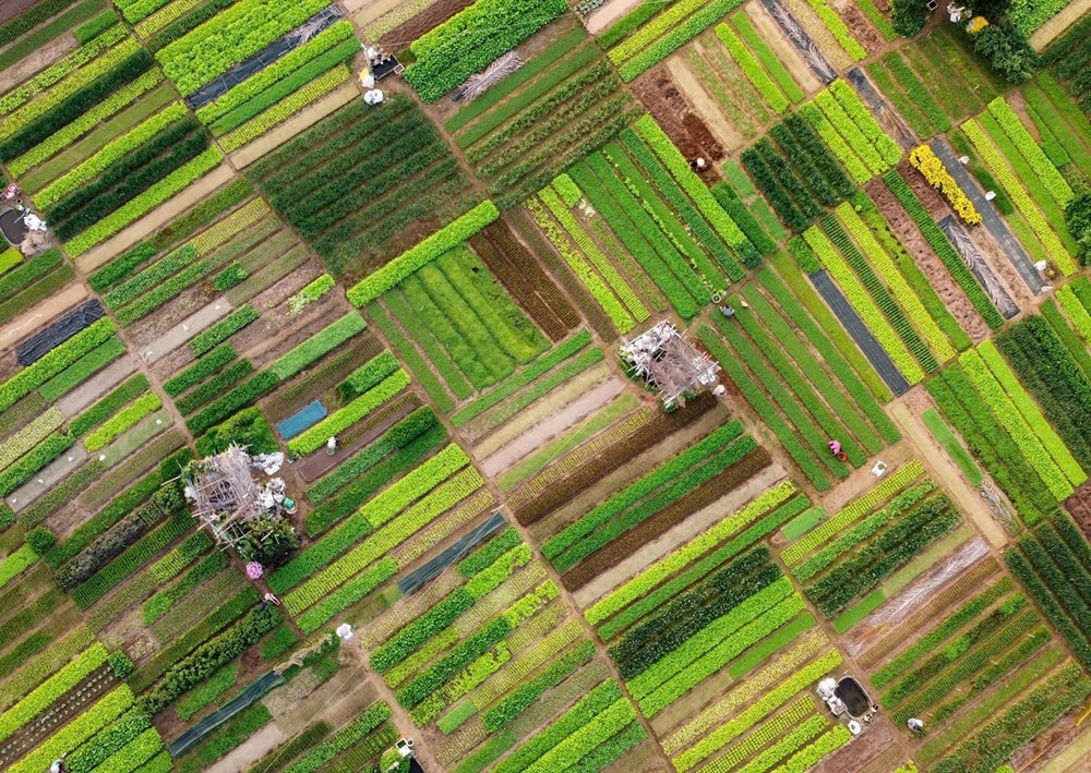 Di sản Hội An tìm hướng bảo tồn, phát triển bền vững trong bối cảnh mới - ảnh 3