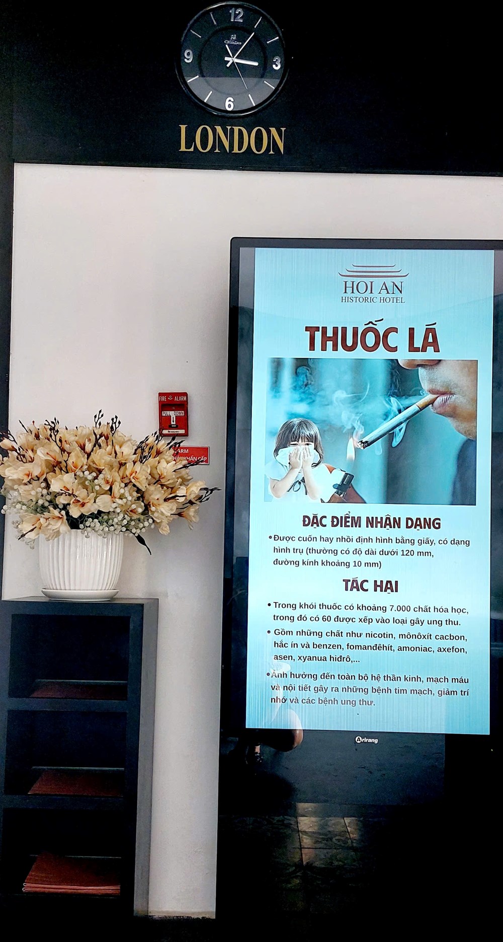 Hoi An Historic- Không gian xanh “không khói thuốc” nơi phố Hội - ảnh 7