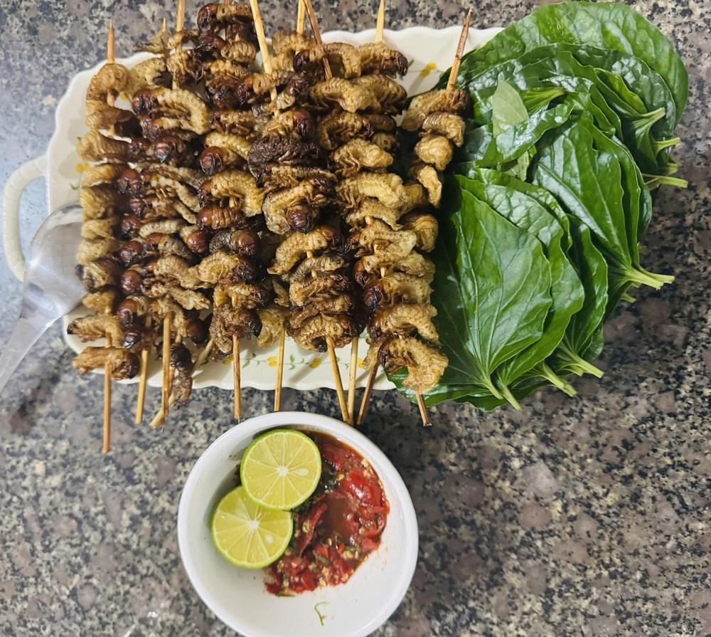 Sùng đất - món ngon ngày mưa của núi rừng Trà Liên - ảnh 1