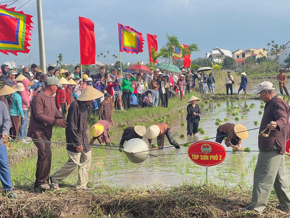 Du khách hào hứng lội ruộng, xuống đồng cấy lúa cùng nông dân  - ảnh 4