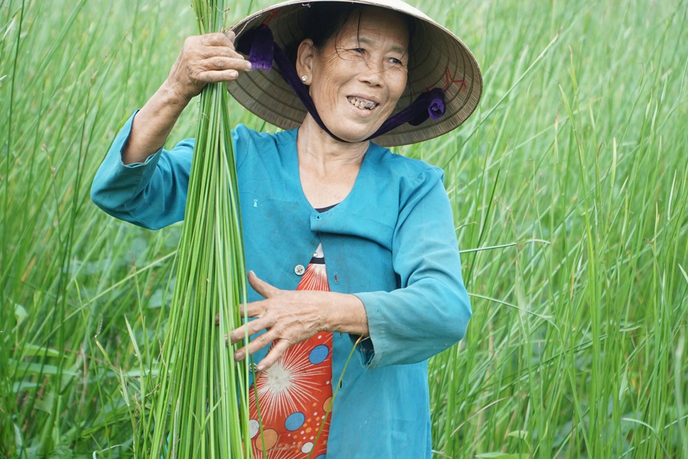 Dạo sông Thu Bồn, ngắm đồng lác xanh rì, nghe chuyện làng nghề  - ảnh 3