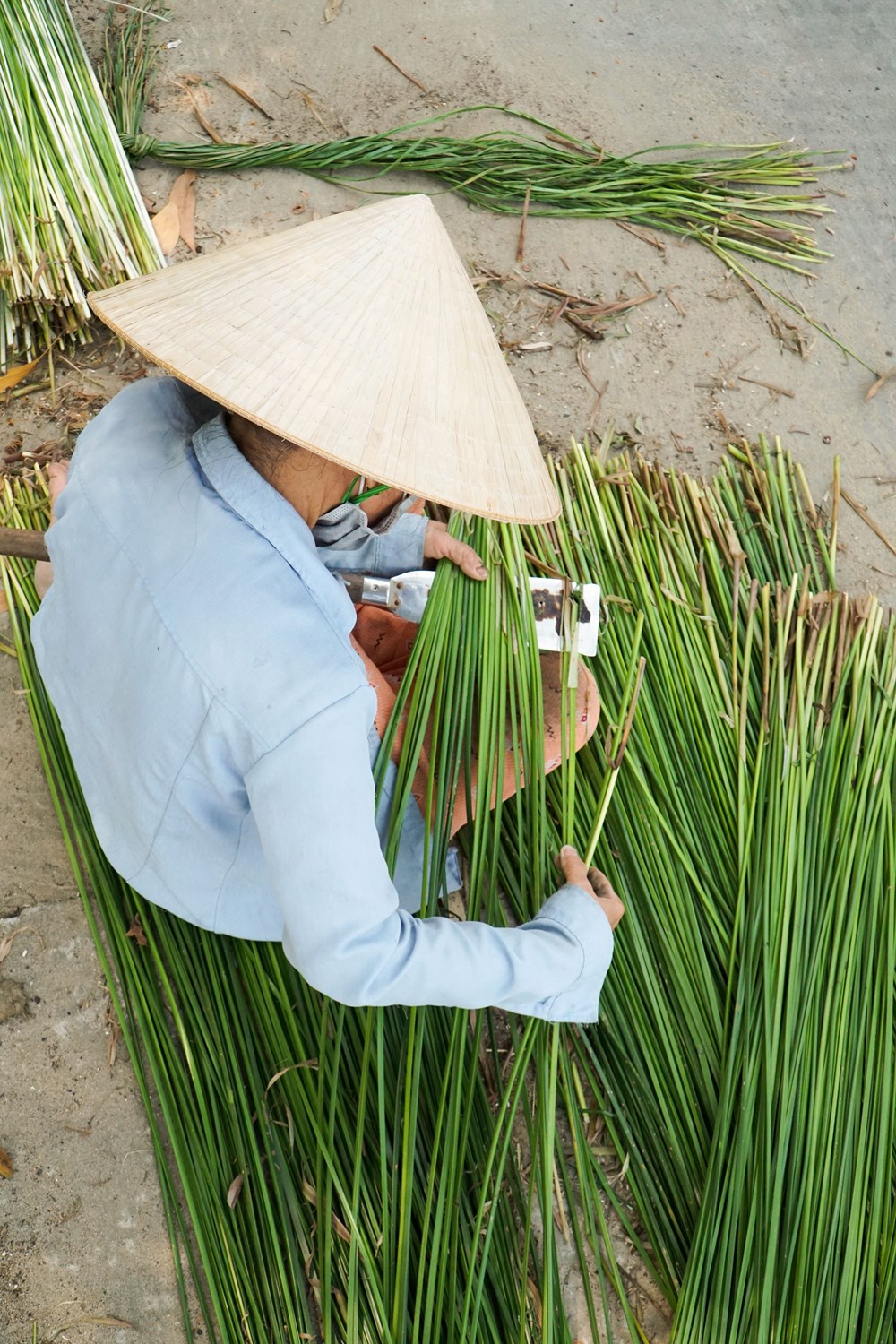 Dạo sông Thu Bồn, ngắm đồng lác xanh rì, nghe chuyện làng nghề  - ảnh 10