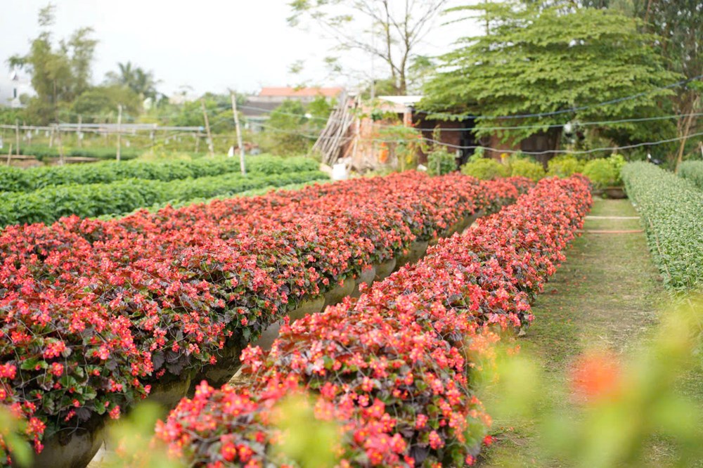 Chuyên gia, doanh nghiệp tham gia khảo sát, tọa đàm định hướng phát triển du lịch Điện Bàn Bắc - ảnh 3