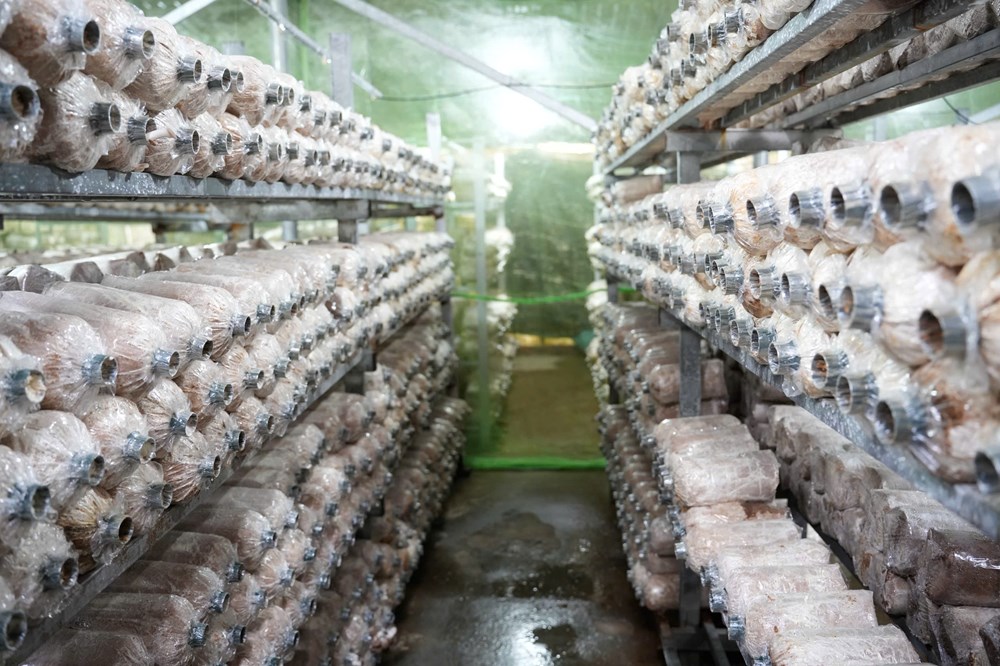 Chuyên gia, doanh nghiệp tham gia khảo sát, tọa đàm định hướng phát triển du lịch Điện Bàn Bắc - ảnh 1