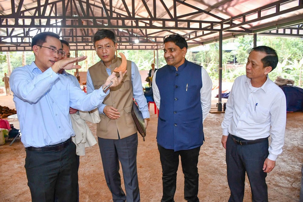 Đề xuất Chính phủ Ấn Độ hỗ trợ bảo tồn nhóm tháp A’ Mỹ Sơn - ảnh 3