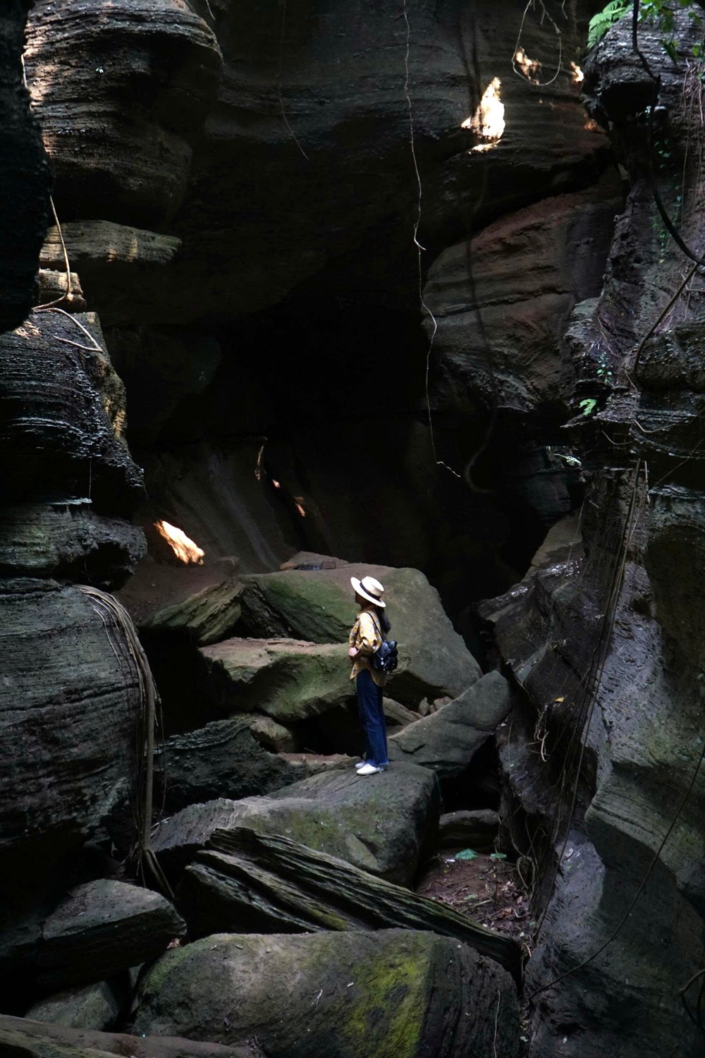 Về Thạnh Bình dạo làng cổ Lộc Yên, ngắm hang Dơi - ảnh 6