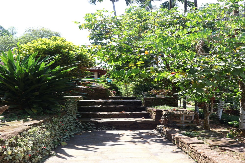 Về Thạnh Bình dạo làng cổ Lộc Yên, ngắm hang Dơi - ảnh 2