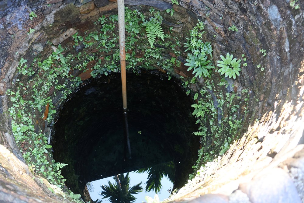 Về Thạnh Bình dạo làng cổ Lộc Yên, ngắm hang Dơi - ảnh 3