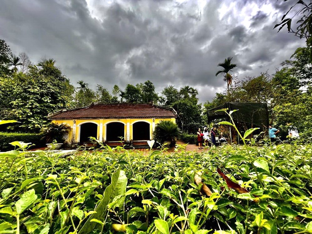 Về Thạnh Bình dạo làng cổ Lộc Yên, ngắm hang Dơi - ảnh 4