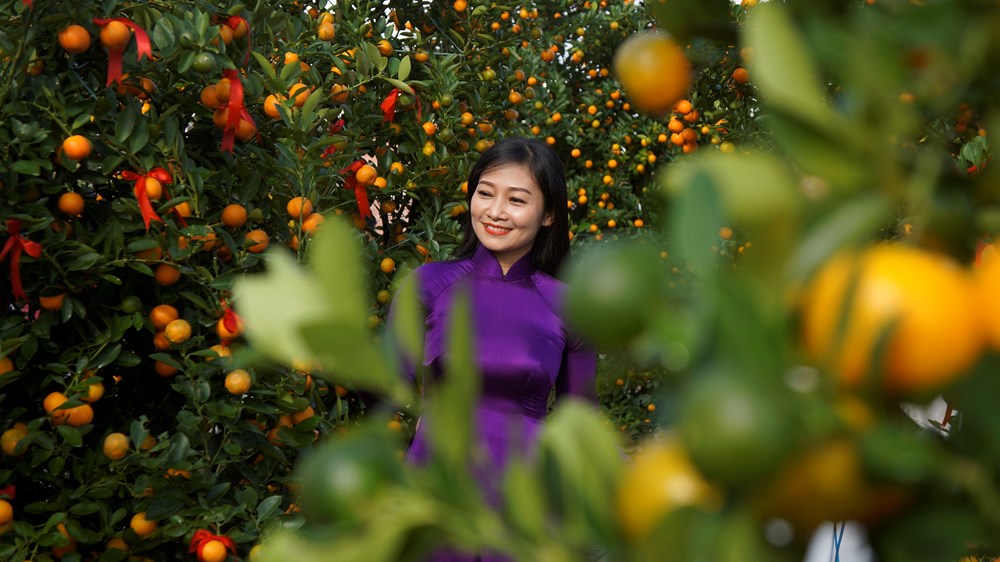 Làng quật cảnh Cẩm Hà rộn ràng vào hội Tết - ảnh 4