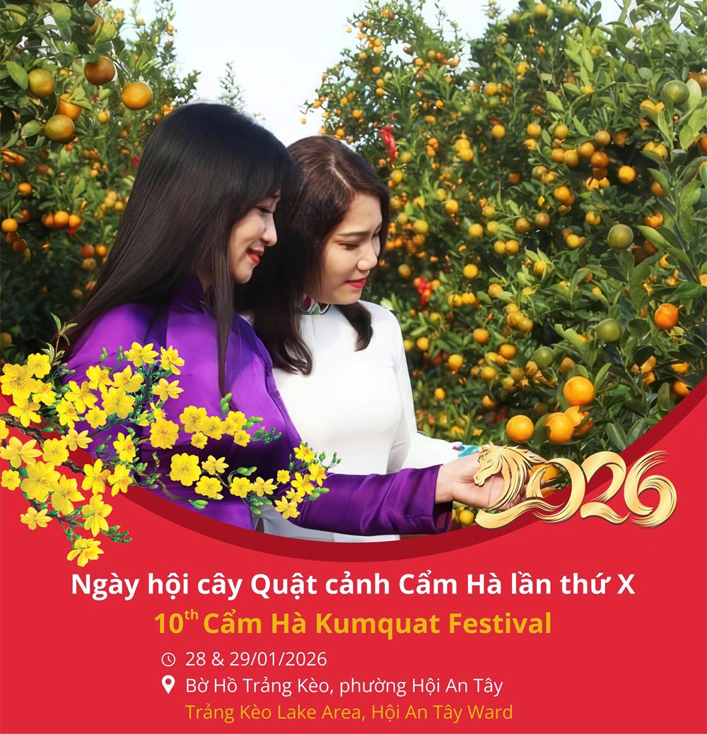 Làng quật cảnh Cẩm Hà rộn ràng vào hội Tết - ảnh 1
