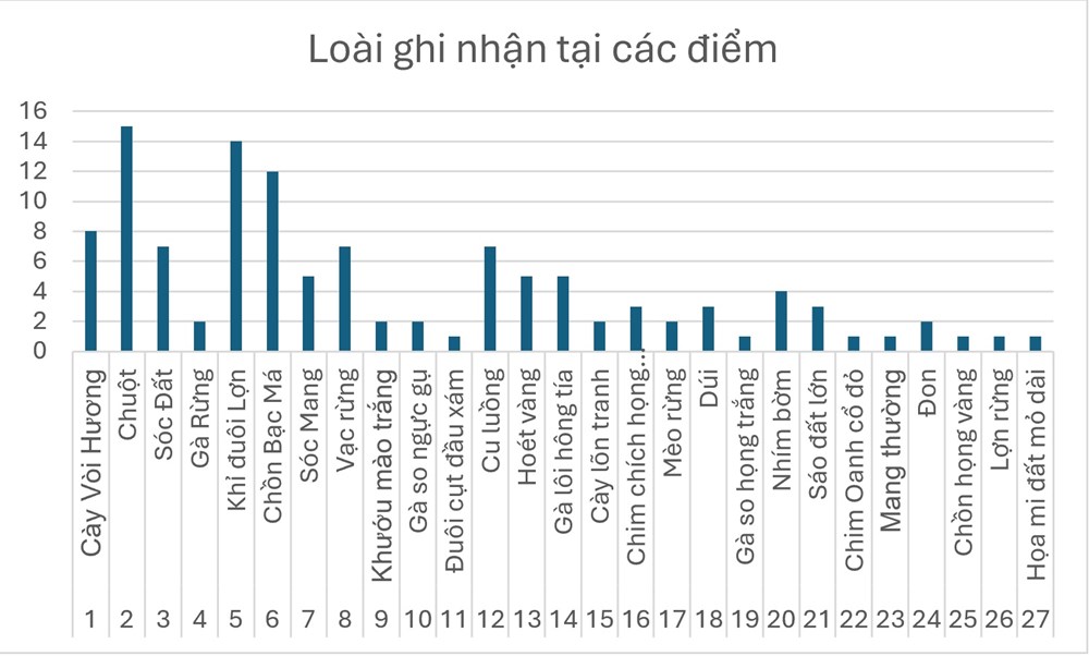 Ghi nhận sự hiện diện 27 loài động vật hoang dã tại khu vực rừng Mỹ Sơn - ảnh 2