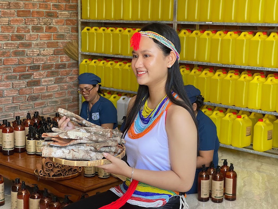 Đà Nẵng triển khai Chương trình mục tiêu quốc gia vùng dân tộc thiểu số, miền núi - ảnh 3