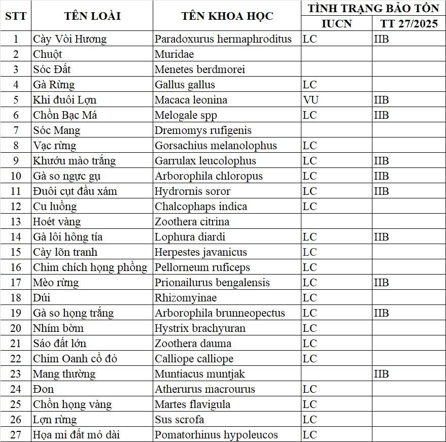 Ghi nhận sự hiện diện 27 loài động vật hoang dã tại khu vực rừng Mỹ Sơn - ảnh 1
