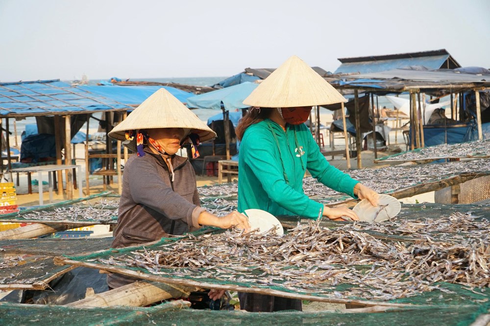 Ngư dân Thăng An rộn ràng tham gia lễ hội cầu ngư, ra quân đánh bắt hải sản - ảnh 6
