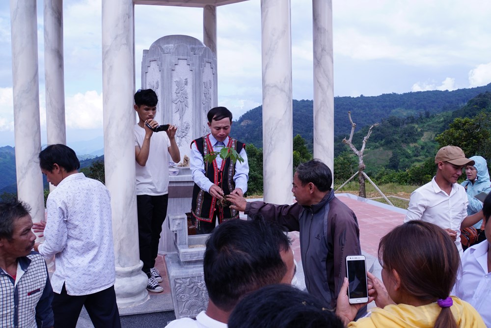 Đà Nẵng dành 500 tỉ đồng phát triển nông nghiệp hữu cơ - ảnh 6