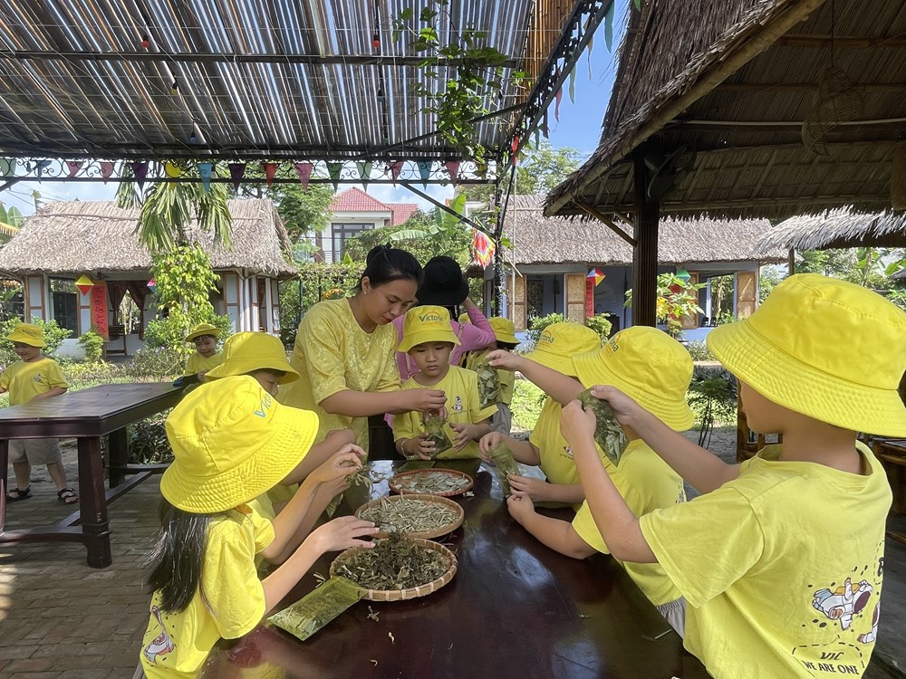 Đà Nẵng dành 500 tỉ đồng phát triển nông nghiệp hữu cơ - ảnh 2