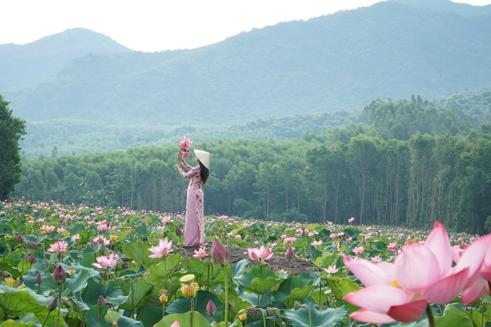 Đà Nẵng dành 500 tỉ đồng phát triển nông nghiệp hữu cơ - ảnh 5