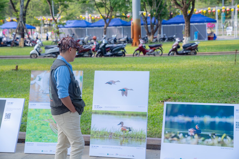 Xem triển lãm “Đất lành chim đậu”, hiểu thêm về thiên nhiên - ảnh 4