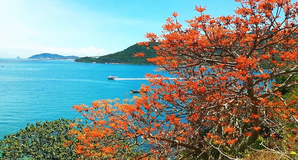Kế hoạch quản lý, bảo vệ môi trường Khu Dự trữ Sinh quyển thế giới Cù Lao Chàm - Hội An - ảnh 2