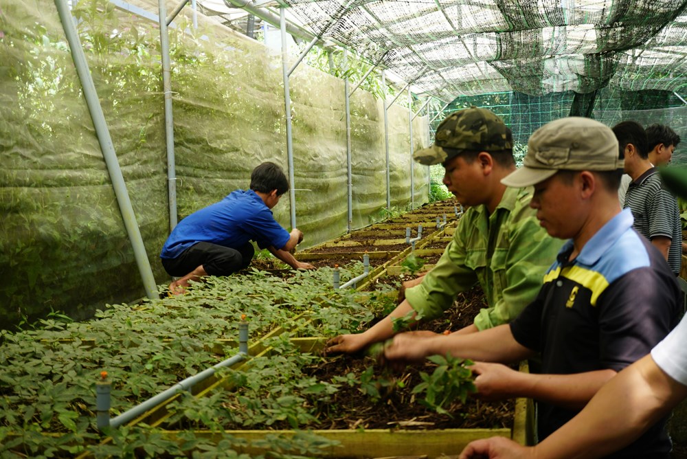 Đà Nẵng đẩy nhanh tiến độ, nâng cao hiệu quả các Chương trình MTQG - ảnh 4