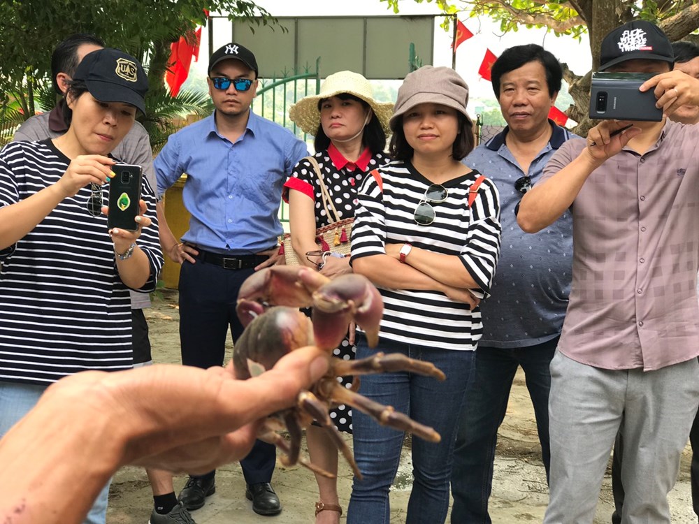 Hai “trụ cột” thúc đẩy Khu sinh quyển Cù Lao Chàm - Hội An phát triển - ảnh 1
