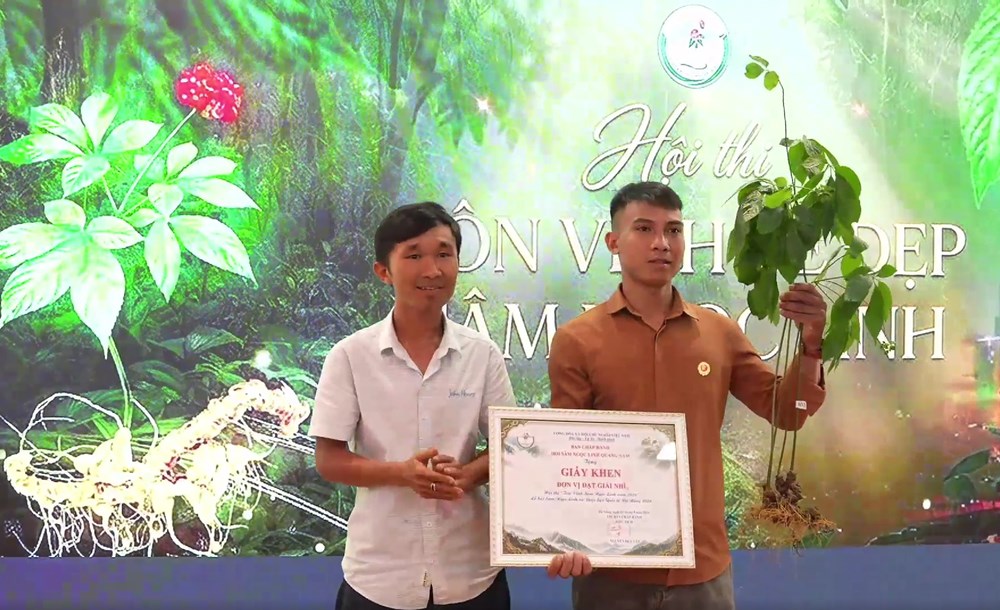 Củ sâm Ngọc Linh hơn 35 năm tuổi được đấu giá 725 triệu đồng - ảnh 3