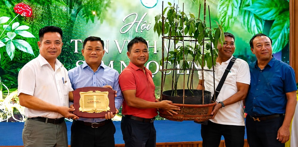 Củ sâm Ngọc Linh hơn 35 năm tuổi được đấu giá 725 triệu đồng - ảnh 4