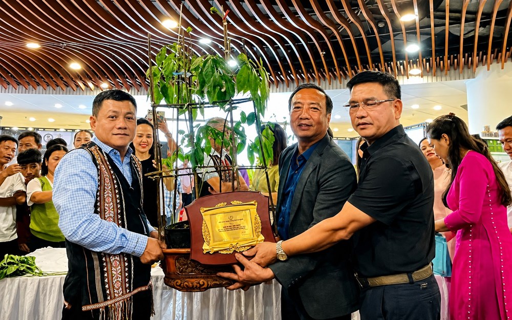 Củ sâm Ngọc Linh hơn 35 năm tuổi được đấu giá 725 triệu đồng - ảnh 1