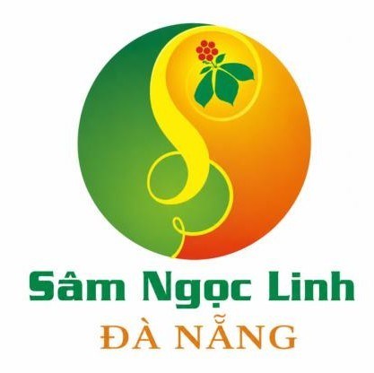 Củ sâm Ngọc Linh thế nào mới được dán tem chỉ dẫn địa lý? - ảnh 1